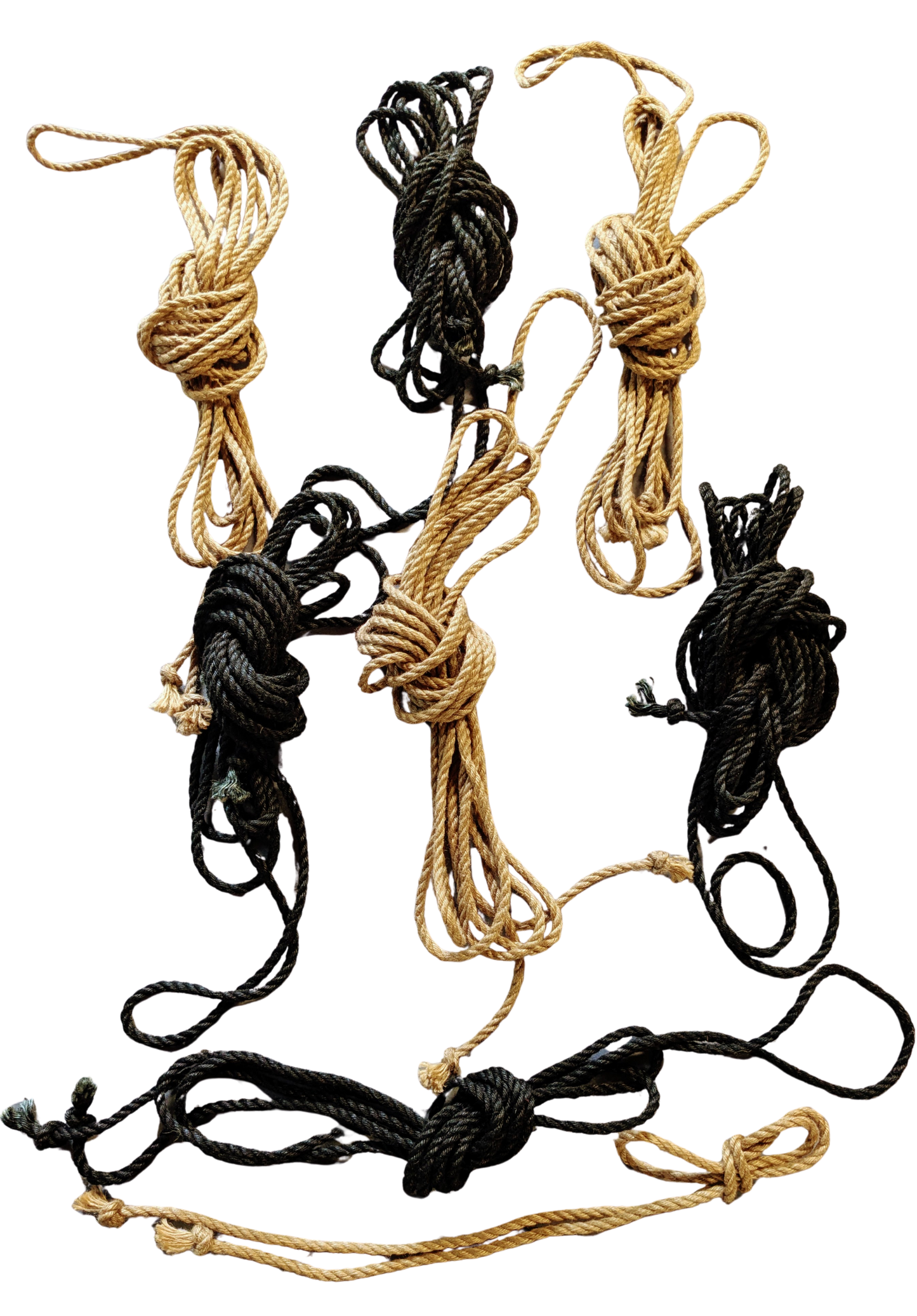 Lion Tamer Kit – Golden Obsidian (Full Ground Kit) - Limited time