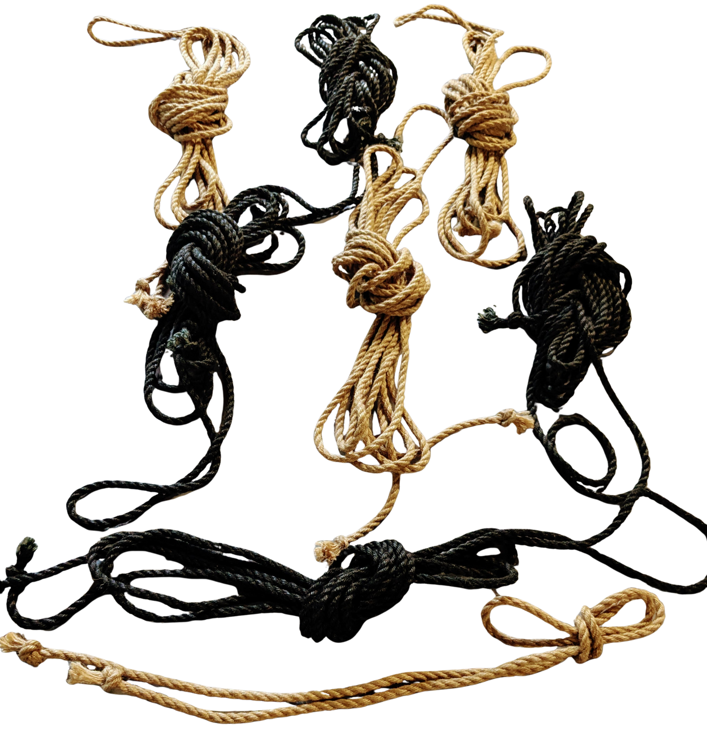 Lion Tamer Kit – Golden Obsidian (Full Ground Kit) - Limited time