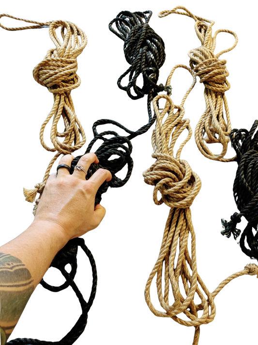 Lion Tamer Kit – Golden Obsidian (Full Ground Kit) - Limited time